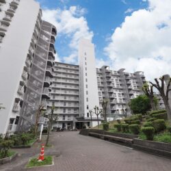 エバーグリーン金岡四号棟