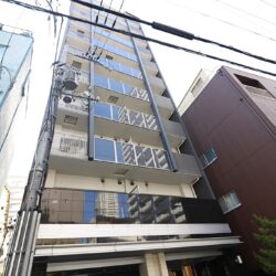 クリスタルエグゼ南堀江 ８０２号